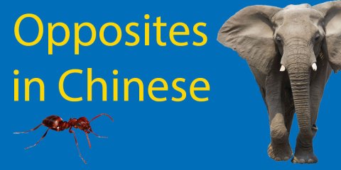 67 Opposites in Chinese | The Ultimate Guide Thumbnail