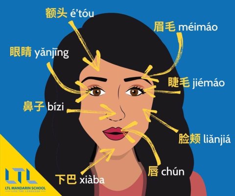 Makeup-in-Chinese-Facial-Features