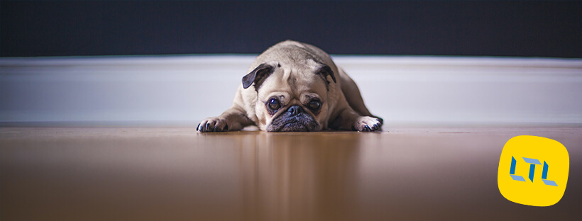 Sad in Chinese