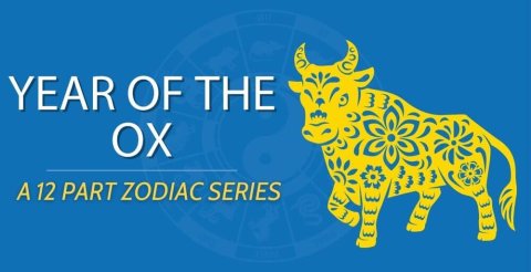 Chinese Zodiacs || Year of the Ox 🐂 (A Complete Guide) Thumbnail