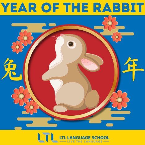Chinese Zodiacs || Year of the Rabbit (The Ultimate Guide)