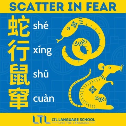 Year of the Snake - chengyu