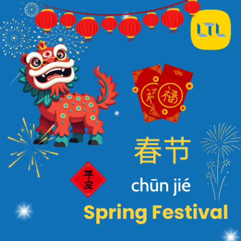 Chinese New Year|| Spring Festival