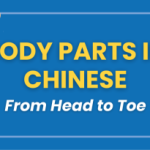 Body Parts in Chinese 👤 From Head to Toe || FREE QUIZ Thumbnail
