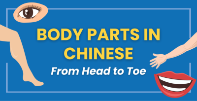 Body Parts in Chinese 👤 From Head to Toe || FREE QUIZ Thumbnail