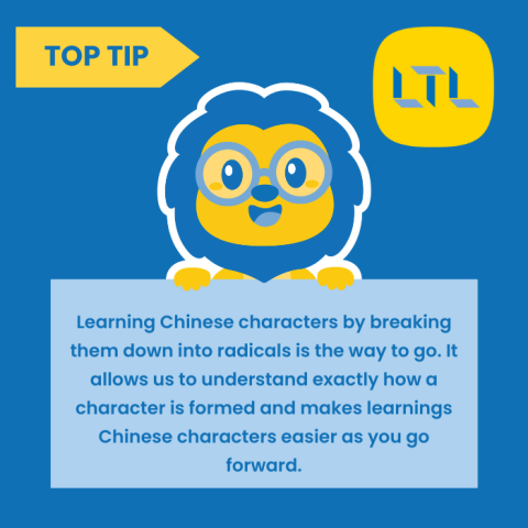 Chinese Character