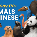 Chinese Animal Names: 172 Translations 😼 (Zodiac, Sea, Land, Birds & More) Thumbnail