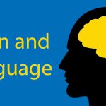 How Does Language Change Your Brain? Thumbnail