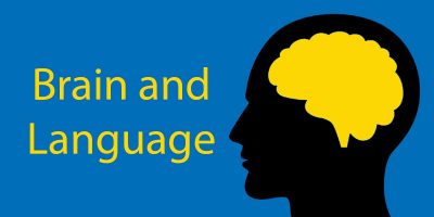 Brain and Language: How Does Language Change Your Brain?