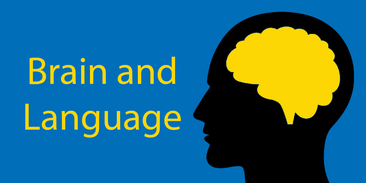 how-does-language-change-your-brain-your-questions-answered