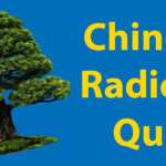 Chinese Radicals Quiz // How Many Do You Know? Thumbnail