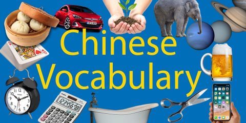 500+ Chinese Vocabulary 📚Your Complete List Thumbnail