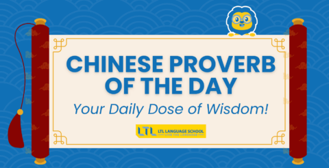 Chinese Proverb of the Day | Learn a New Chinese Saying Daily Thumbnail