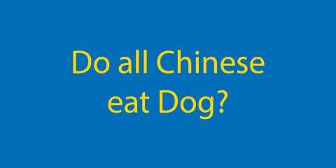 Do all Chinese eat Dog? What's the Truth? Thumbnail