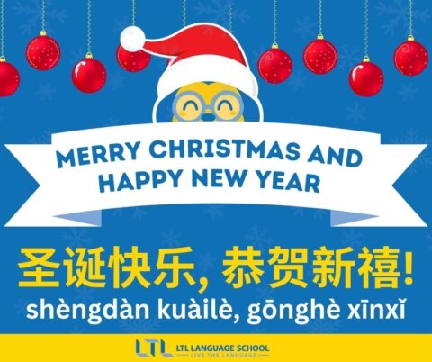 How to Say Merry Christmas in Chinese🎄PLUS Christmas in China