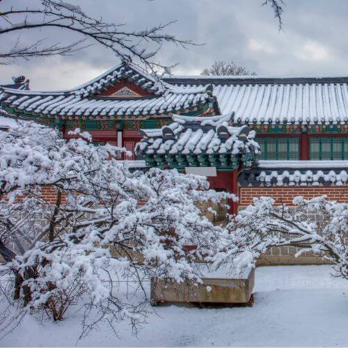 LTL Seoul || Landscape in winter