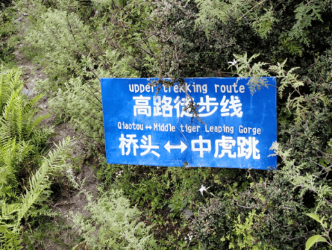 Tiger Leaping Gorge Upper Trail signs guide you along the way