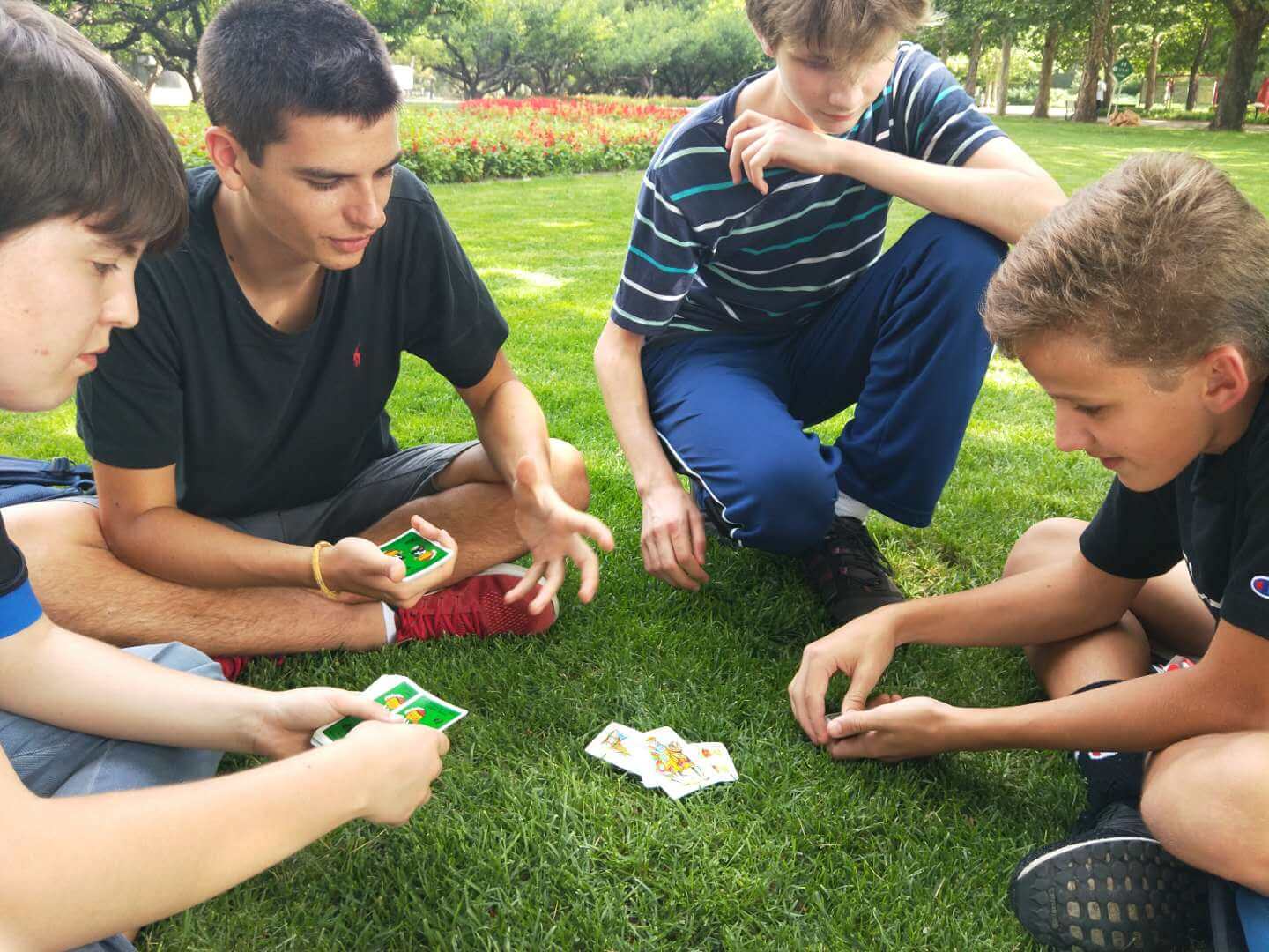 Playing Cards in the Park