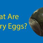 What Are Century Eggs? Should You Try Them? Your Questions, Answered Thumbnail