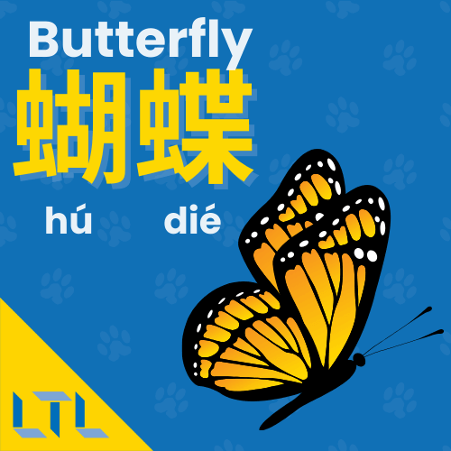 animals in Chinese - butterfly