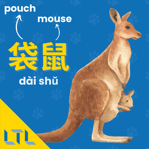 animals in Chinese - kangaroo