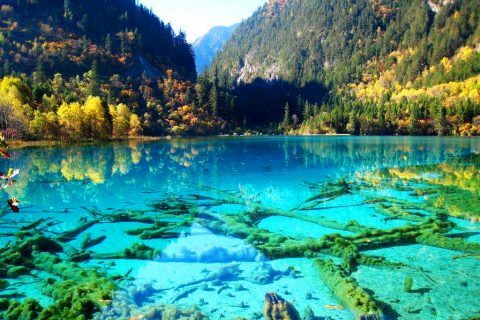 Five Flower Lake, Jiuzhaigou National Park