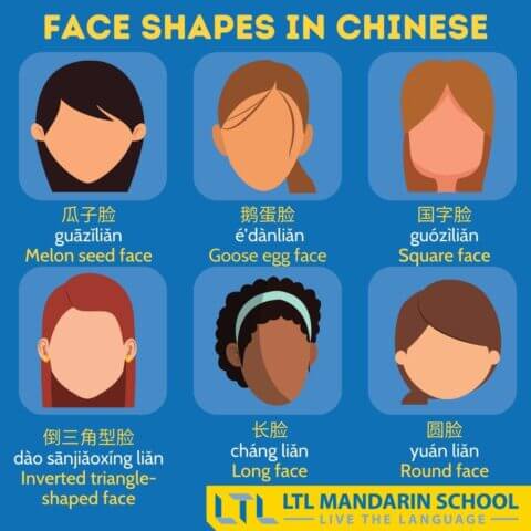 Chinese Face Shapes in Mandarin
