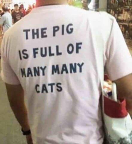 Something about Pigs and Cats