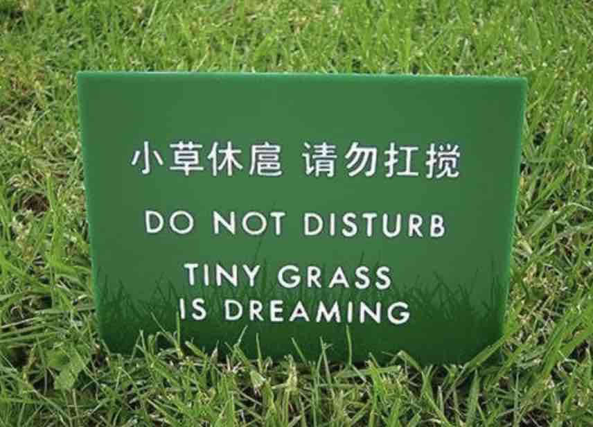 Tiny Grass having a dream