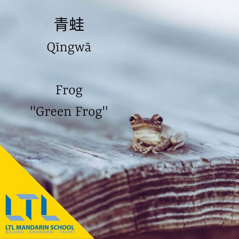 frog in chinese