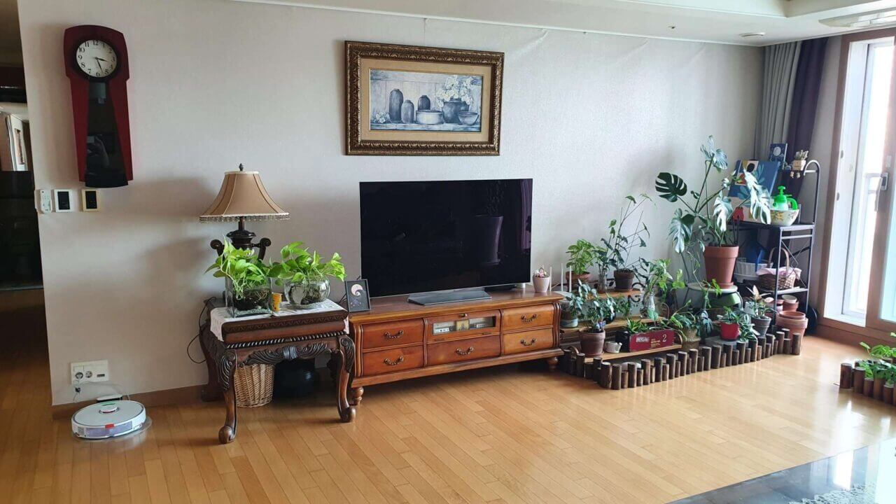 Homestay in Korea