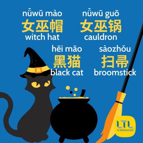 Black cat witch cauldron in Chinese