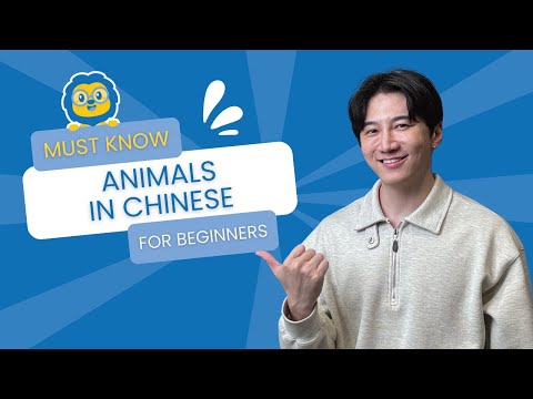 How To Say Animals In Chinese // Chinese For Beginners