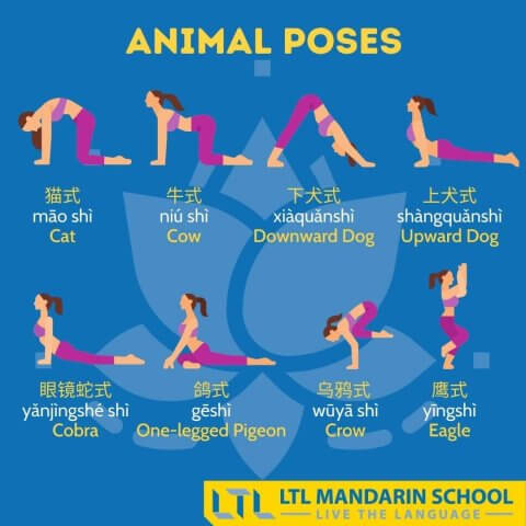 Yoga-in-Chinese