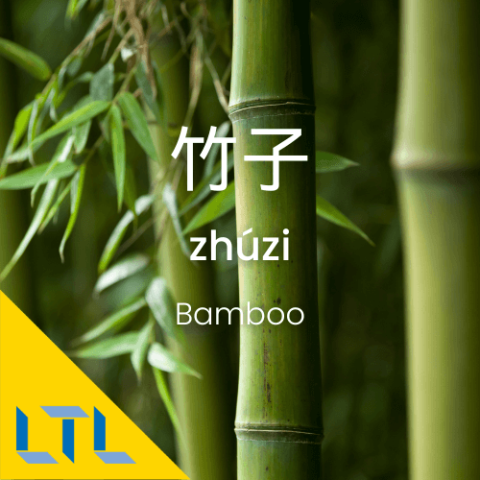 Plants in Chines bamboo