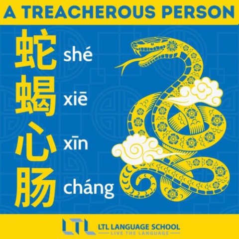 Year of the Snake - idiom