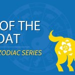 Year of the Goat: Everything About the Chinese Sheep Zodiac Thumbnail